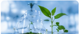植物代谢组学研究