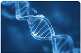 分子生物学检测